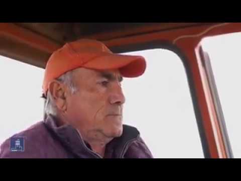 Գյուղատնտեսական համախառն արտադրանքն աճ է ունեցել՝ պայմանավորված նաև պետական աջակցության ծրագրերով