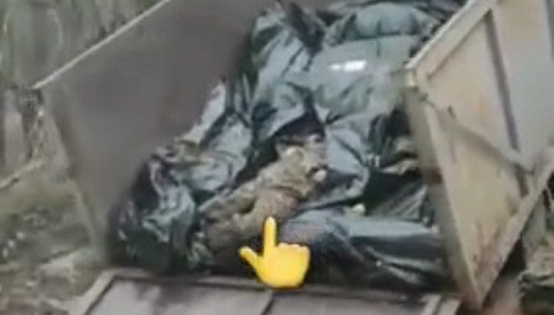 Ադրբեջանցիները նկարահանել են հայ զինծառայողների մարմինների կադրեր՝ բեռնատարի թափքում կուտակված