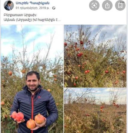 «Պաշտպանության նախարարն ի՞նչ վերաբերմունք ունի իրեն անհայրենիք թողնելու իր ղեկավարի որոշմանը». Անժելա Էլիբեգովա