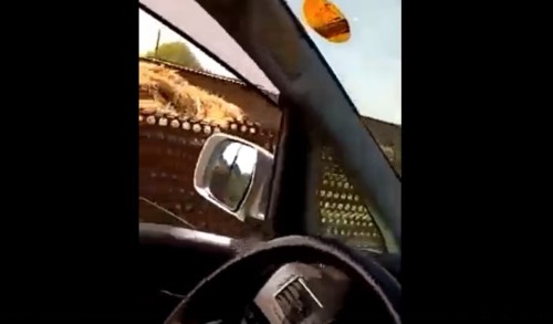 Մասիս համայնքում ադրբեջանցինե՞ր են ազատ շրջում