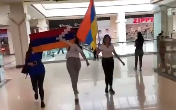 «StopNikol»․ Երիտասարդների ակցիան՝ «ԴալմաՄոլ»-ում