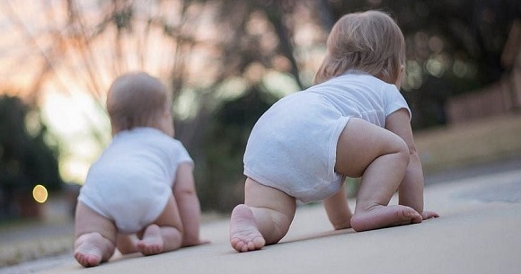 Երևանում անցկացվել է չոչի մրցույթ