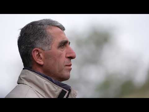 Նիկոլ բիձայից ի՞նչ հավատանք․․․Դժվար ա սրան հանելը․․․Բաղանիսցի