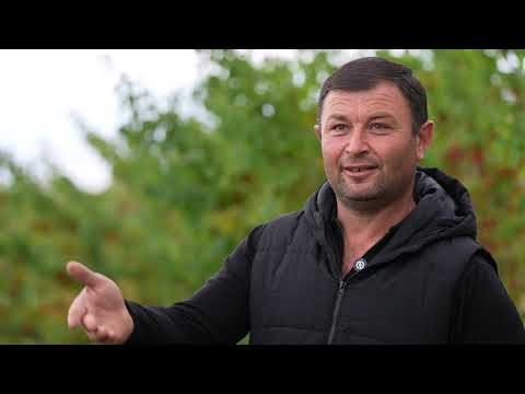 Հո չե՞նք կարող մի հիմարի պատճառով թողենք երկրից գնանք․․․ Բաղանիսի բնակիչ