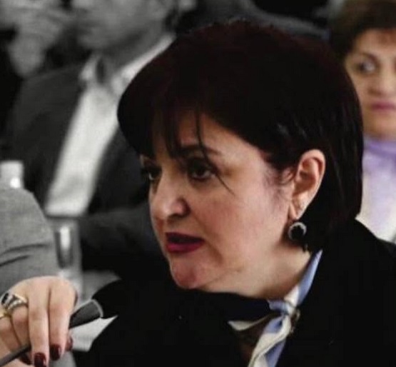 «Զանգվածային ծառահատում, գերտաքացած փողոց և ստորգետնյա մալուխի պայթյուն. կա՞ արդյոք կապ»․ Քրիստինա Վարդանյան