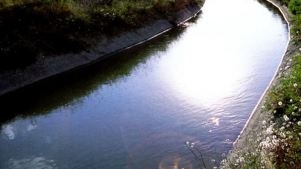 Ահազանգ. Հրազդան գետ կասկածելի զանգված է թափվում