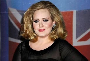 Adele Stops Concert to Defend Fan Being Harassed by Security