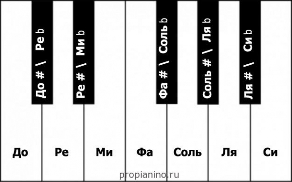 Նոտաների անվանումների նշանակությունը