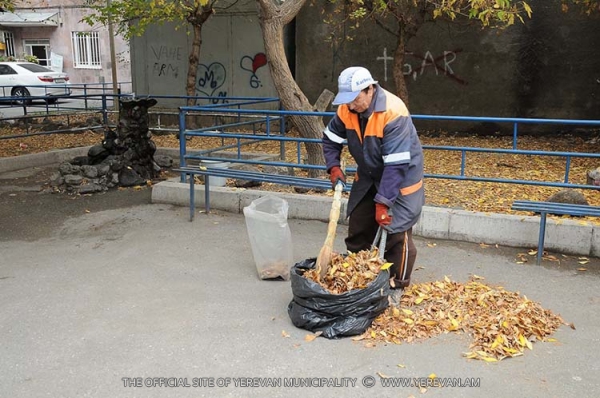 Տեղային շաբաթօրյակներ` մայրաքաղաքի վարչական շրջաններում