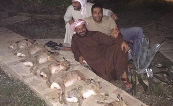 Արաբ որսորդները Ադրբեջանում սպանդ են կազմակերպել