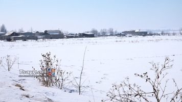 Ցրտահարությու՞ն, թե՞ տխփում