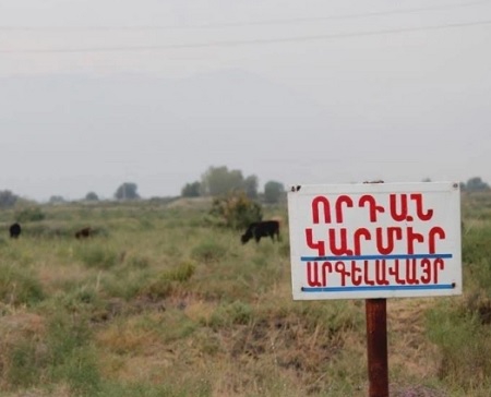 Որդան կարմիրը ոչնչացման եզրին է