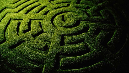 Ծնողներին իրենց երեխաների հետ «Լաբիրինթոս» են տանում