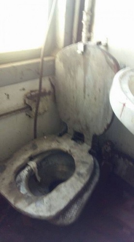 Սրանո՞վ պիտի գերենք Հայաստան եկած զբոսաշրջիկին (զարհուրելի լուսանկար)