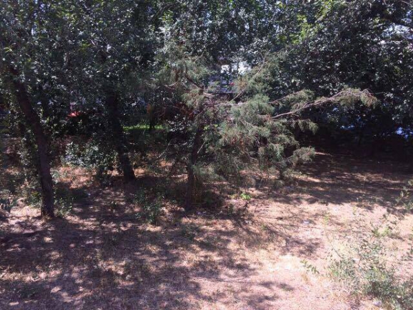 Մաքրեցին և պարզաբանում ներկայացրեցին