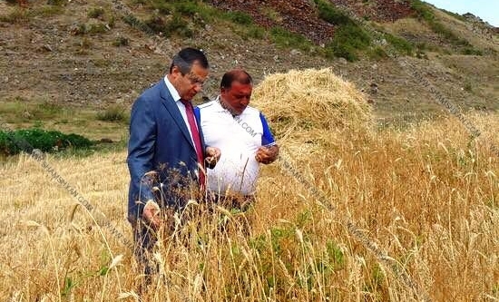 Լարված ու պայթյունավտանգ իրավիճակ Գեղարքունիքում. գյուղապետը պատուհաս է դարձել գյուղացիների համար