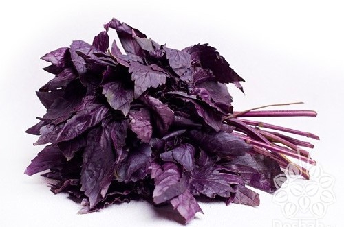 Ռեհանի բուժիչ հատկությունները, որոնց մասին քչերը գիտեն