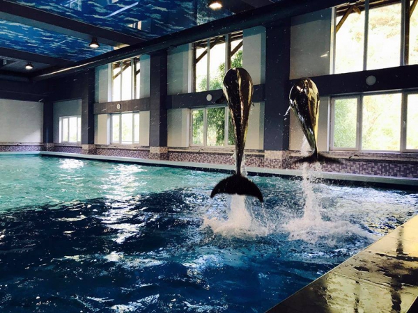 Անգղերի որսից բացի ևս մեկ խայտառակություն է եղել.Բնապահպան