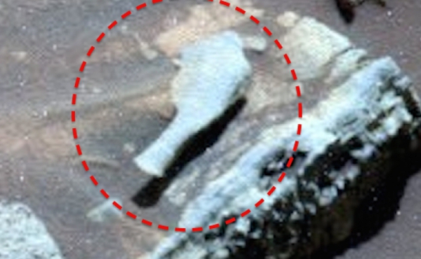 Մարսում հսկայական խխունջ են գտել