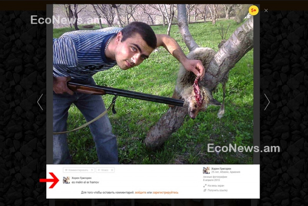 Երիտասարդը սպանում, տանջում է տարատեսակ կենդանիների, հանում ատամները, սիրտը