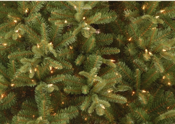 Պոլիտեխնիկի տոնածառի տակ կասկածելի արկղ է հայտնաբերվել