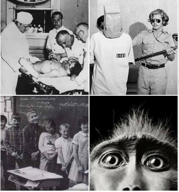 Պատմության 5 ամենազարհուրելի հոգեբանական փորձարկումները. Մաս I