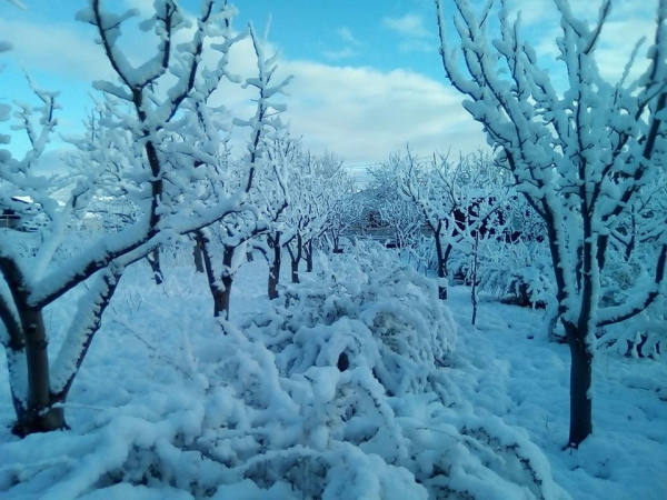 Ապրիլյան ձմեռ` Սպիտակում