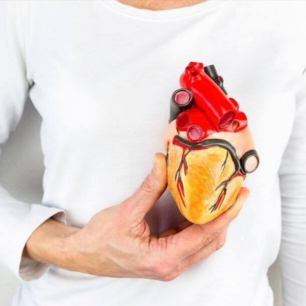 Դեպրեսիան՝ սրտի հիվանդությունների առաջացման պատճառ