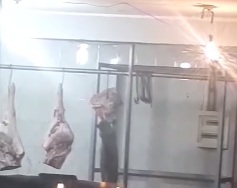 Կատվի կծոտած մսի ողջ խմբաքանակը ոչնչացրել են և հորդորել՝  չգնել  ոչ սառնարանային պայմաններում վաճառվող միս