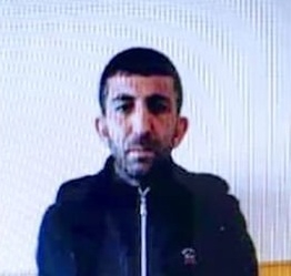 Համաներմամբ ազատ արձակված քաղաքացին Արարատի մարզում ձիեր է գողացել ու մորթել