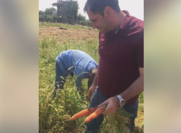 Չէ, բա էս ո՞նց ա լինում, ես որը հանում եմ՝ փտած չի...Ինչպե՞ս էր Սուրեն Պապիկյանը գազար քաղհանում