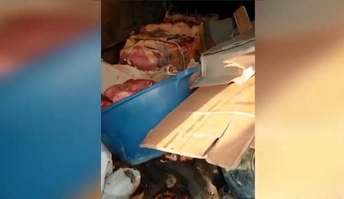 Տեսանյութ-ահազանգ․ Միսը խանութ է մատակարարվում խայտառակ պայմաններում