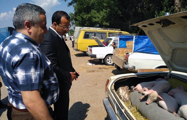 Պաշտոնյաներն այցելել են երկրի ամենամեծ անասնաշուկա. պայմանները չեն համապատասխանել օրենքի պահանջներին